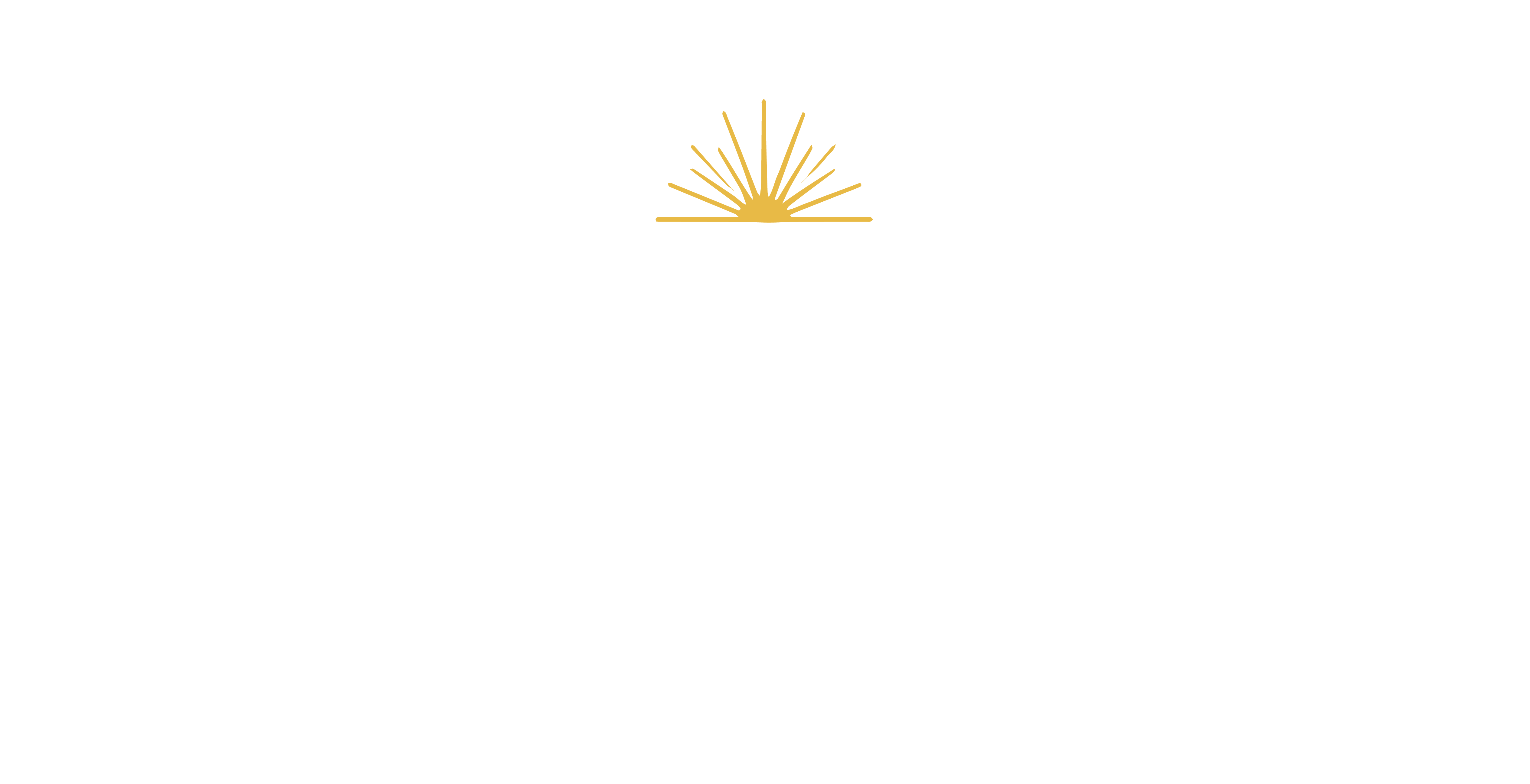 Lantana — Born in Texas — THC Infused Seltzer